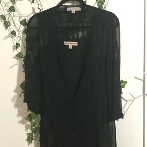 Brooklyn Industries sheer dress size 6. Slip is size 4. Can be worn separately.